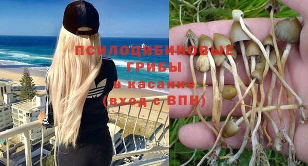 прущие крисы Богородицк