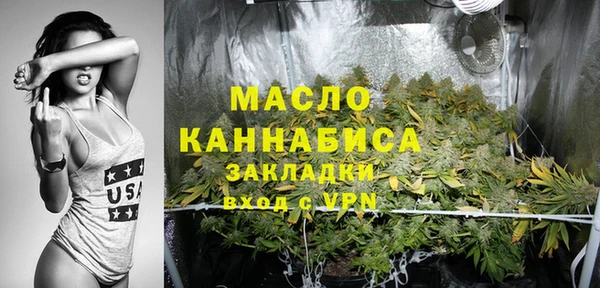 гидра Богданович
