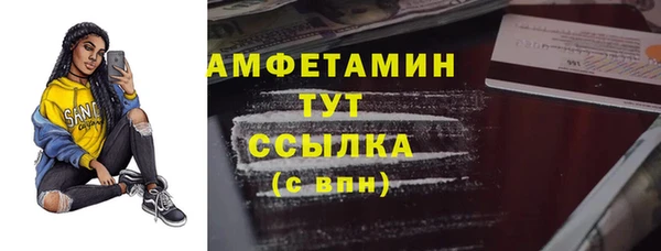 гидра Богданович
