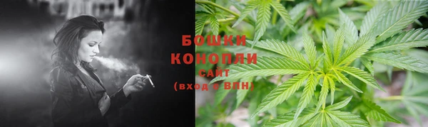 гидра Богданович