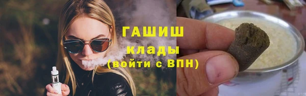 гидра Богданович