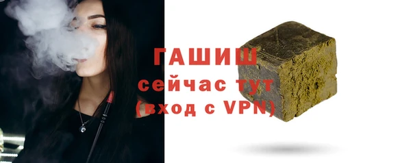 гидра Богданович