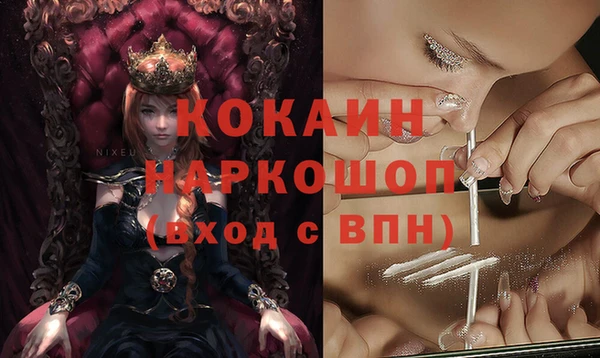 гидра Богданович