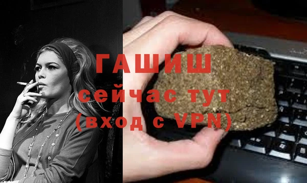 гидра Богданович