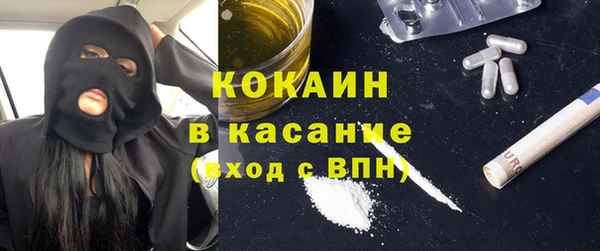 гидра Богданович