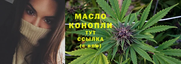 гидра Богданович