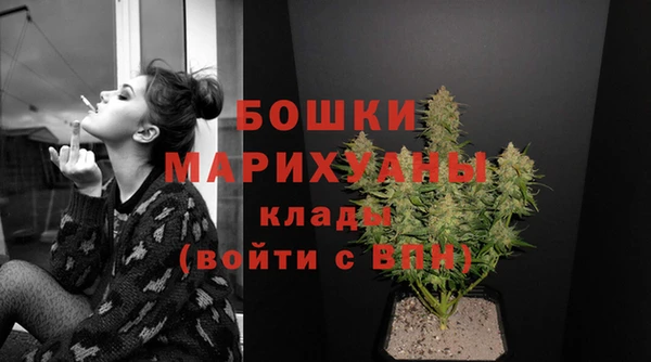 гидра Богданович